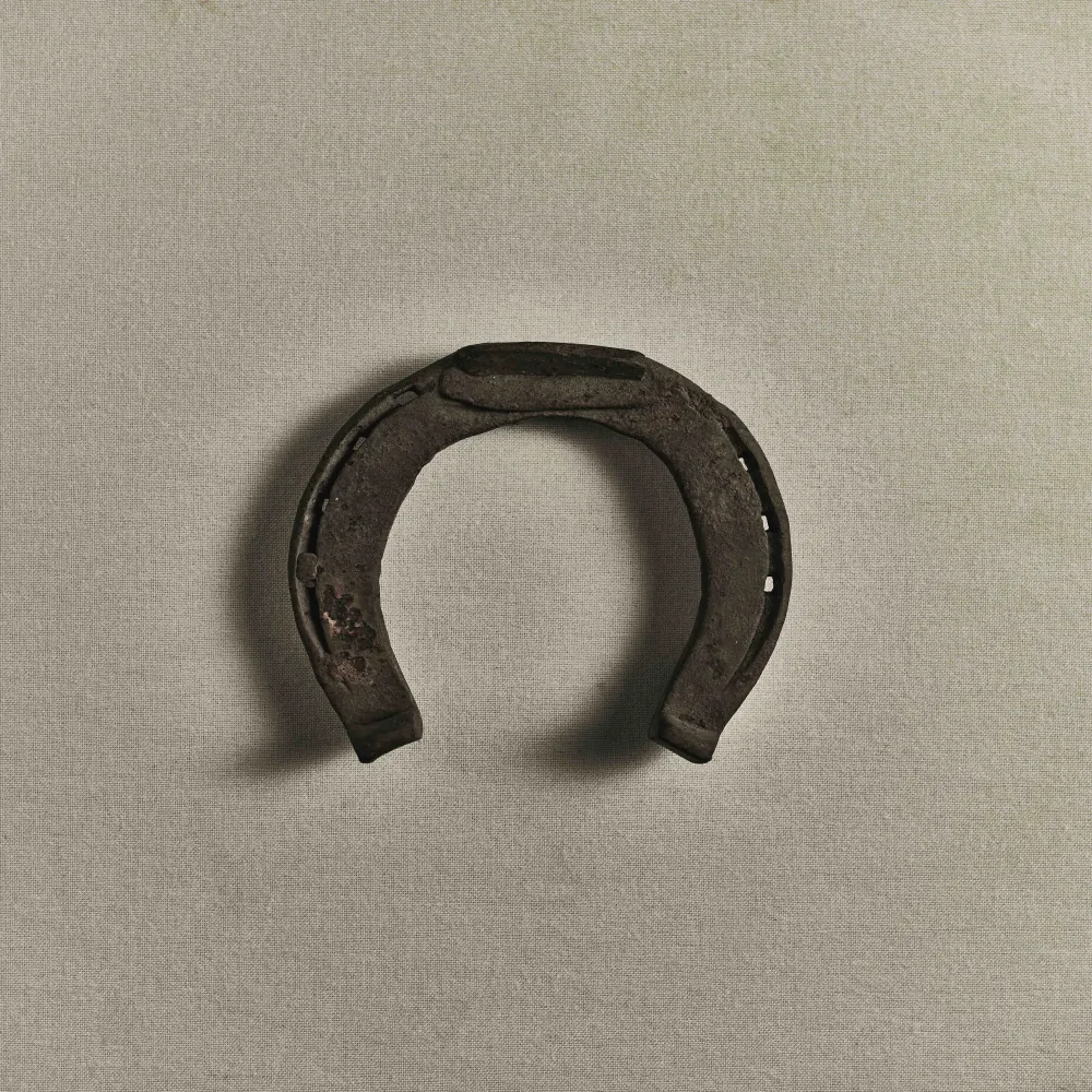 Sawyer Museum — sensory artifact