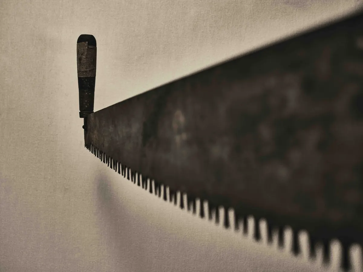 Sawyer Museum — artifact study
