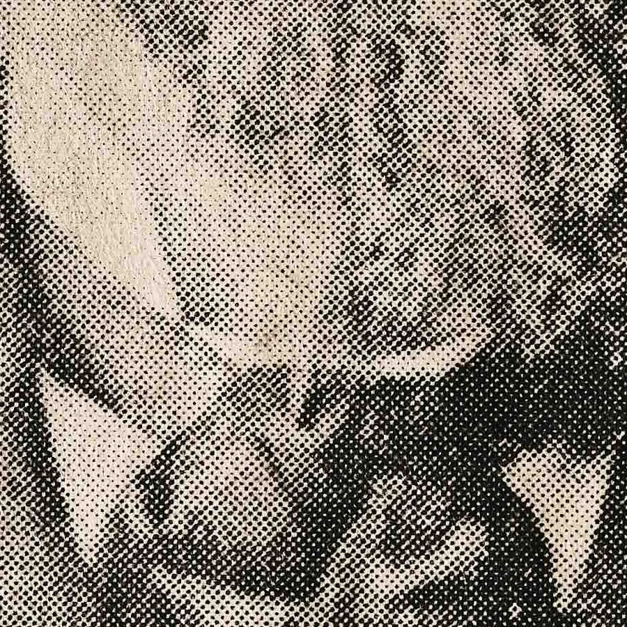 Halftone dot matrix — 1:1 crop