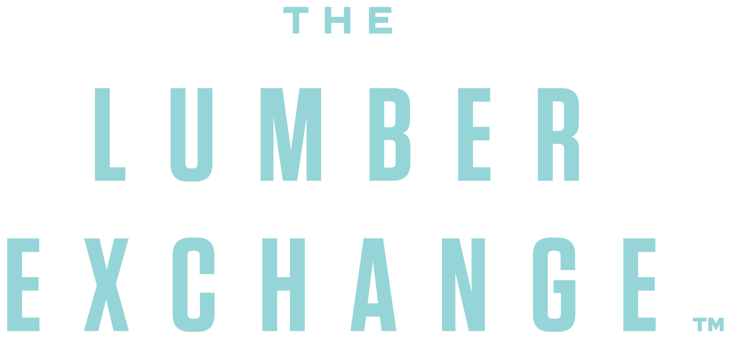 Wordmark, soft teal on near-black